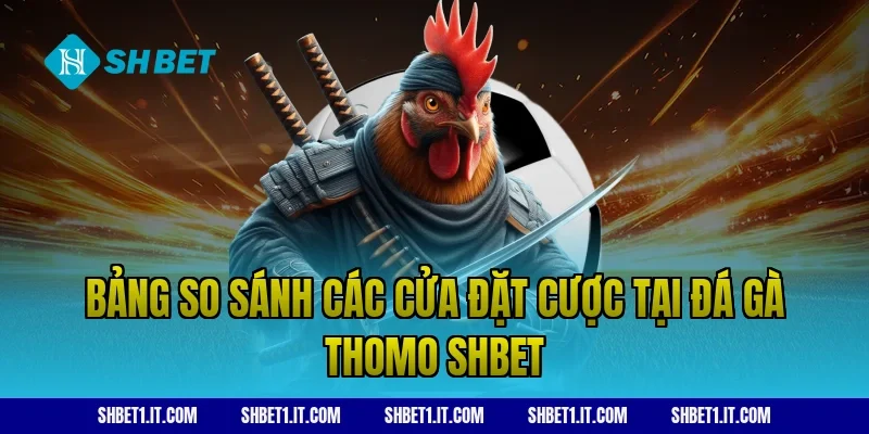 Bảng so sánh các cửa đặt cược tại Đá gà Thomo SHBET