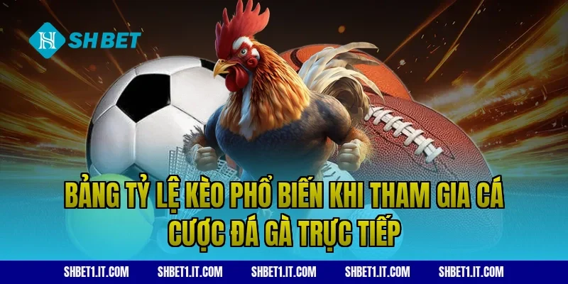 Bảng tỷ lệ kèo phổ biến khi tham gia cá cược đá gà trực tiếp