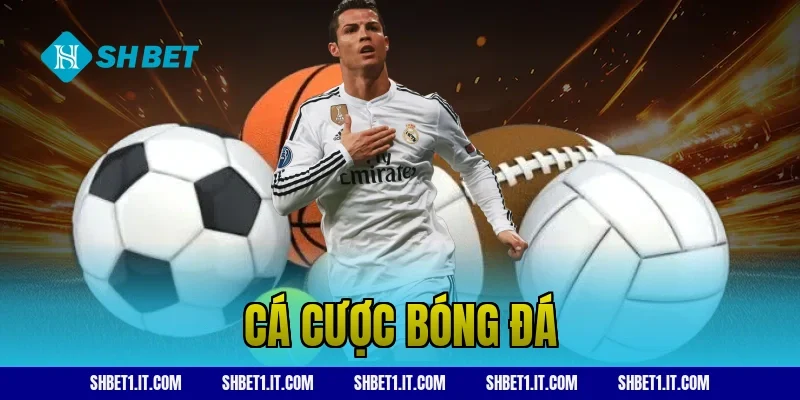 cá cược bóng đá