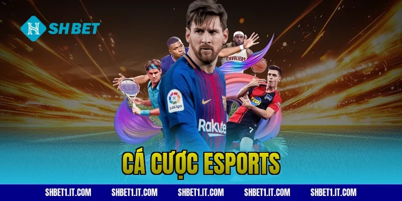 cá cược esports