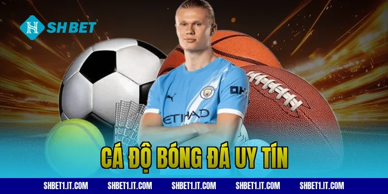 cá độ bóng đá uy tín