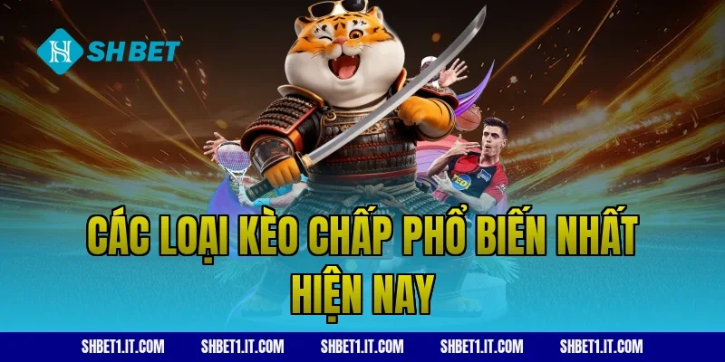 Các loại kèo chấp phổ biến nhất hiện nay