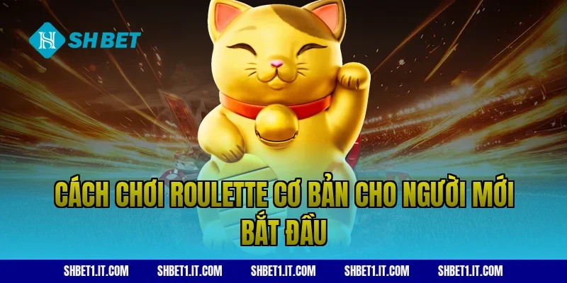 Cách chơi roulette cơ bản cho người mới bắt đầu