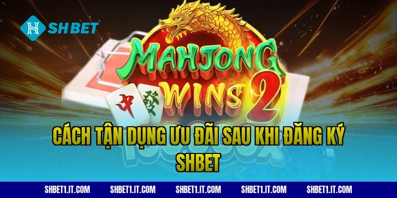 Cách tận dụng ưu đãi sau khi đăng ký SHBET