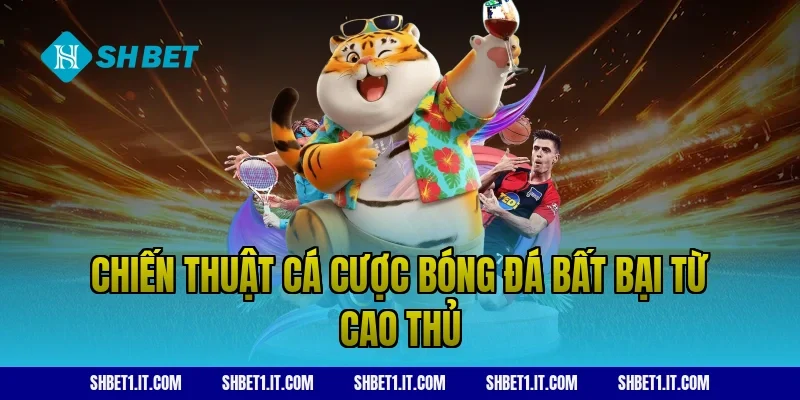 Chiến thuật cá cược bóng đá bất bại từ cao thủ