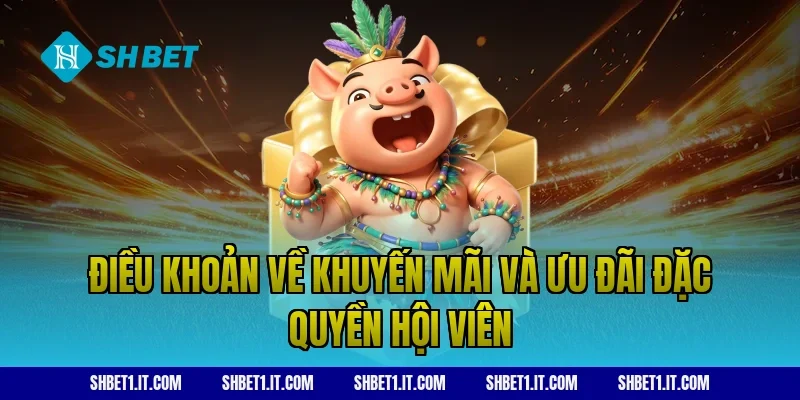 Điều khoản về khuyến mãi và ưu đãi đặc quyền hội viên