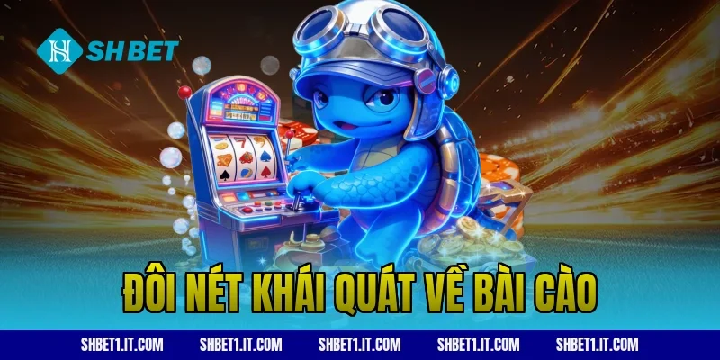 Đôi nét khái quát về bài cào
