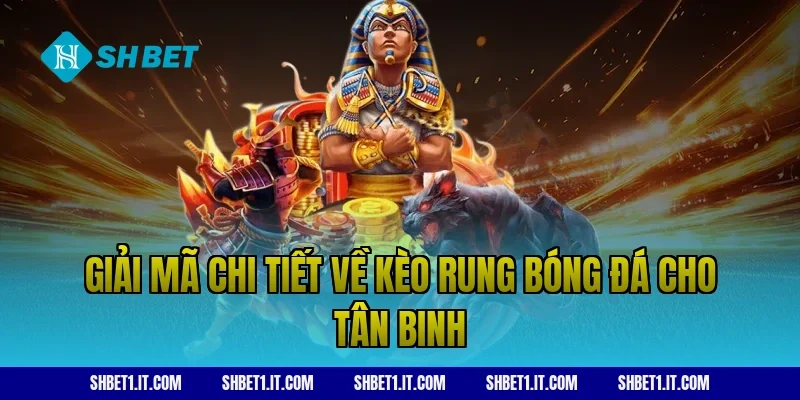 Giải mã chi tiết về kèo rung bóng đá cho tân binh