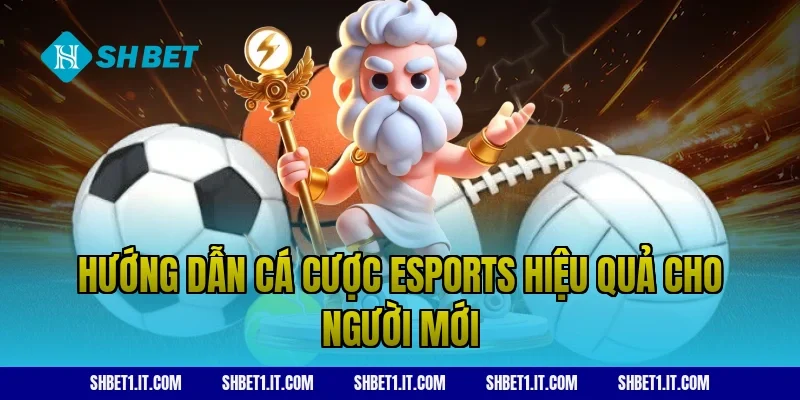 Hướng dẫn cá cược esports hiệu quả cho người mới
