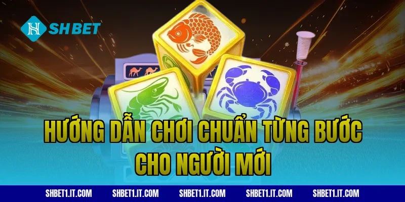 Hướng dẫn chơi chuẩn từng bước cho người mới