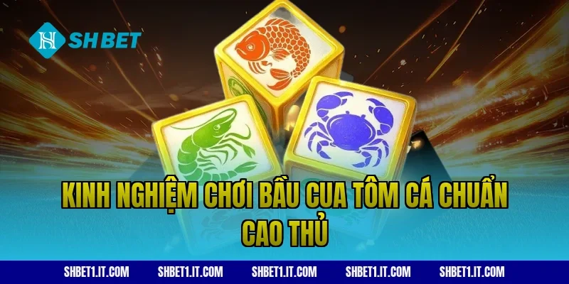 Kinh nghiệm chơi bầu cua tôm cá chuẩn cao thủ
