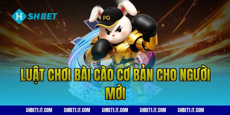 Luật chơi bài cào cơ bản cho người mới