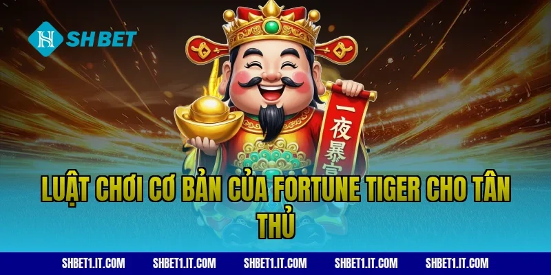 Luật chơi cơ bản của Fortune Tiger cho tân thủ