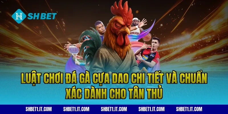 Luật chơi đá gà cựa dao chi tiết và chuẩn xác dành cho tân thủ