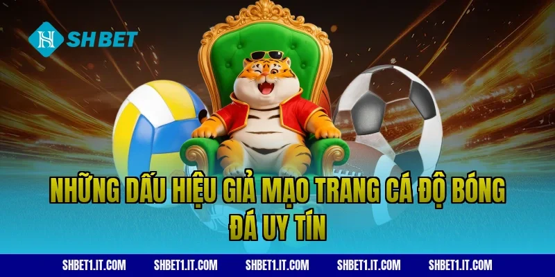Những dấu hiệu giả mạo trang cá độ bóng đá uy tín