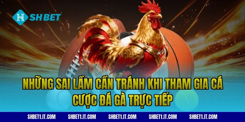 Những sai lầm cần tránh khi tham gia cá cược đá gà trực tiếp