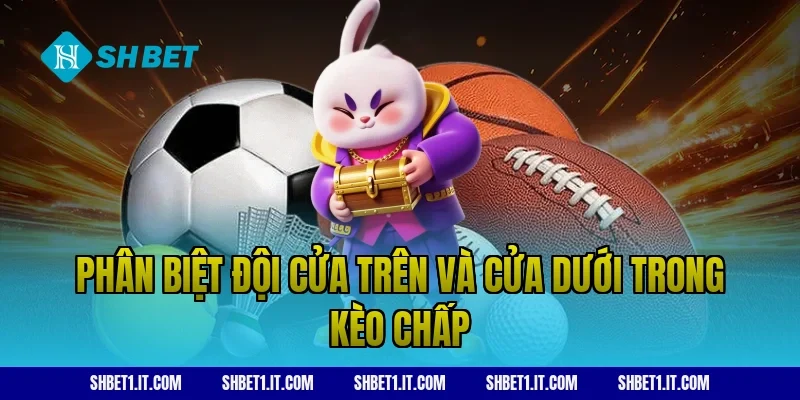 Phân biệt đội cửa trên và cửa dưới trong kèo chấp