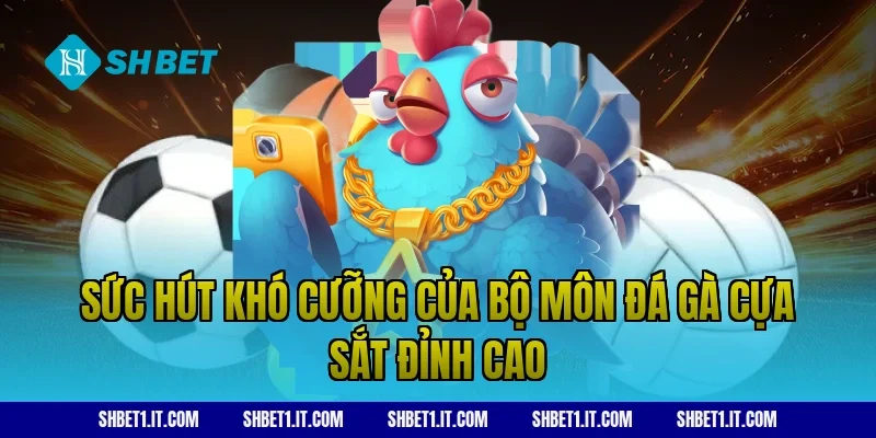 Sức Hút Khó Cưỡng Của Bộ Môn Đá Gà Cựa Sắt Đỉnh Cao