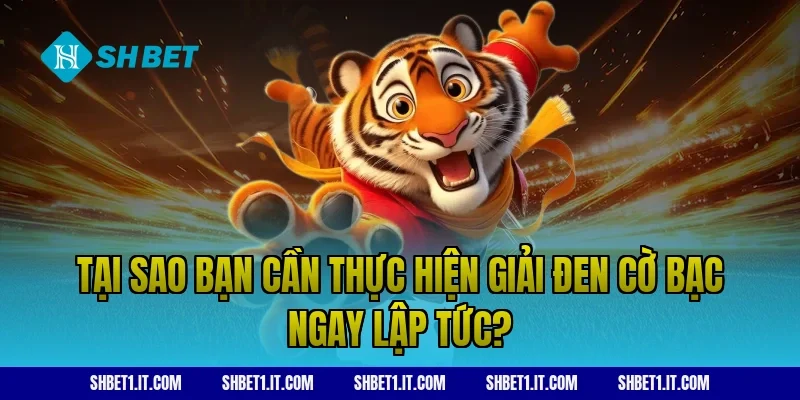Tại sao bạn cần thực hiện giải đen cờ bạc ngay lập tức?