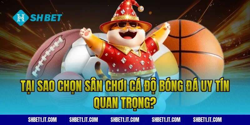Tại sao chọn sân chơi cá độ bóng đá uy tín quan trọng?