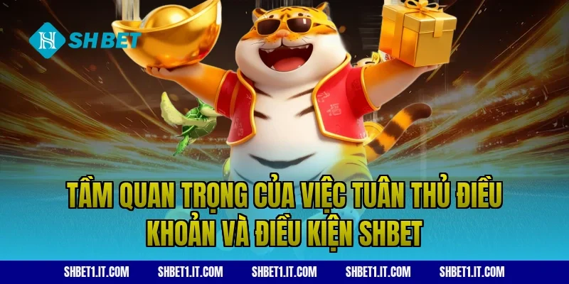 Tầm quan trọng của việc tuân thủ Điều khoản và điều kiện SHBET