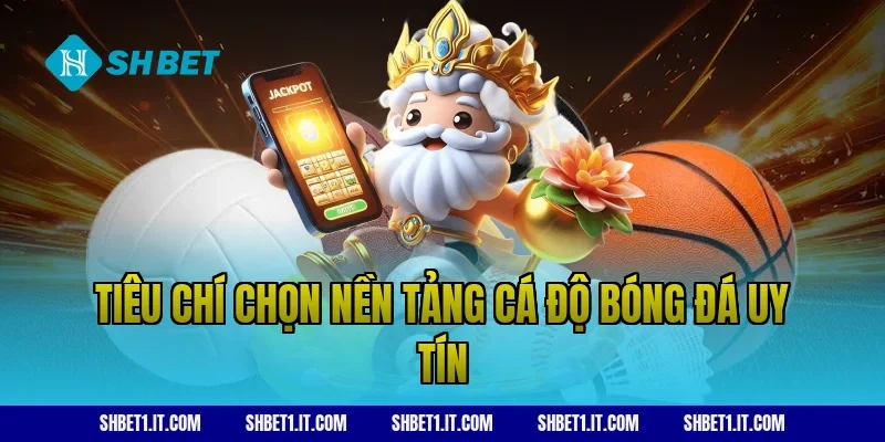 Tiêu chí chọn nền tảng cá độ bóng đá uy tín