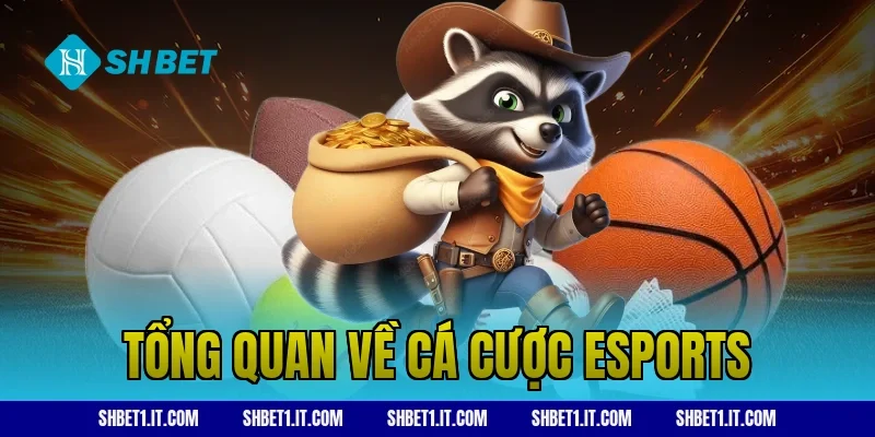 Tổng quan về cá cược esports