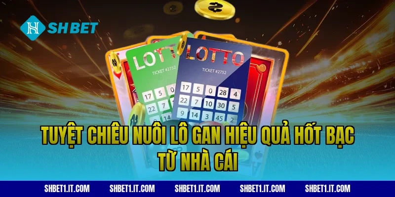 Tuyệt chiêu nuôi lô gan hiệu quả hốt bạc từ nhà cái