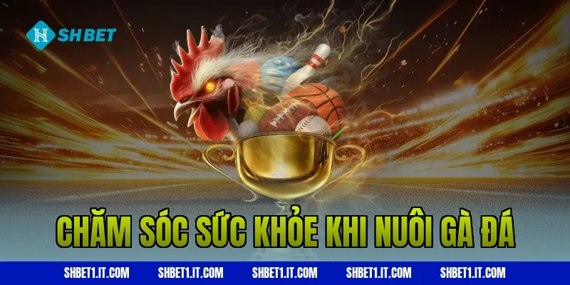 Chăm sóc sức khỏe khi nuôi gà đá