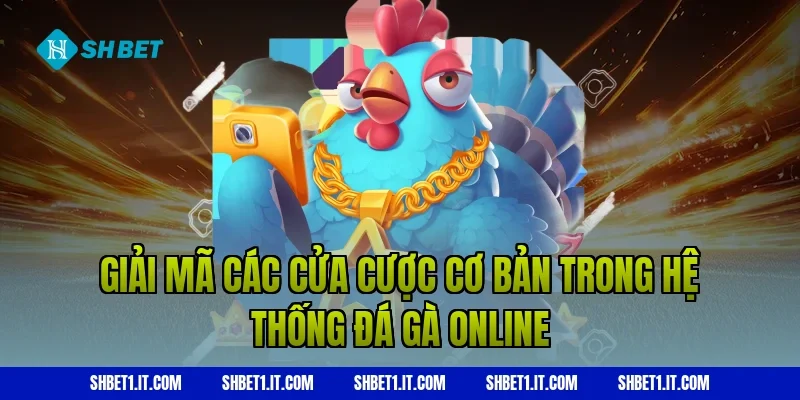 Giải mã các cửa cược cơ bản trong hệ thống Đá gà online