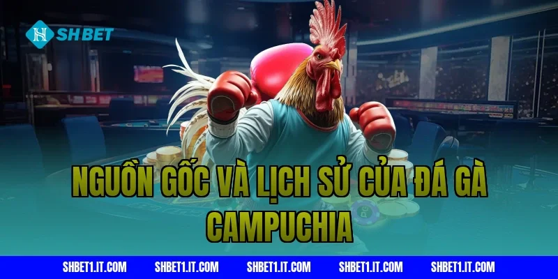 Nguồn gốc và lịch sử của đá gà Campuchia