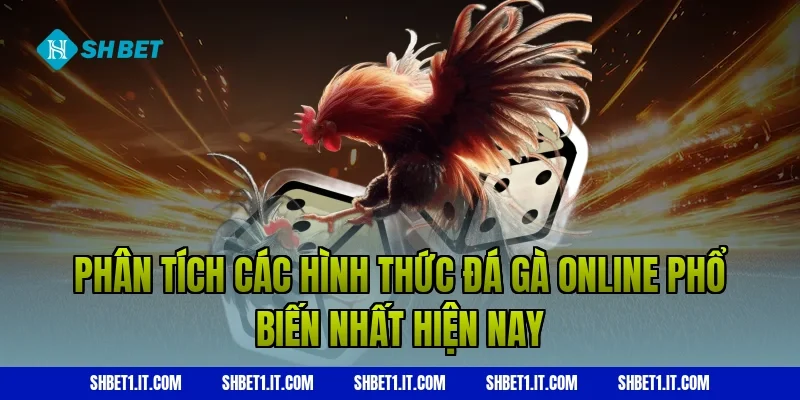Phân tích các hình thức Đá gà online phổ biến nhất hiện nay