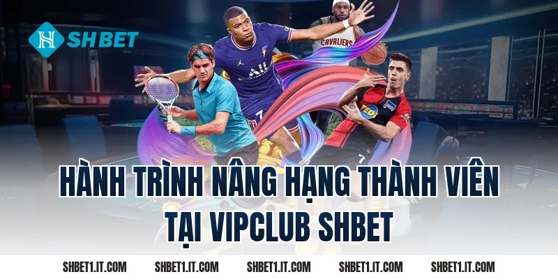 Hành trình nâng hạng thành viên tại Vipclub SHBET