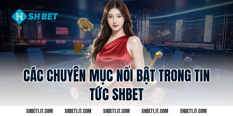 Các Chuyên Mục Nổi Bật Trong Tin tức SHBET