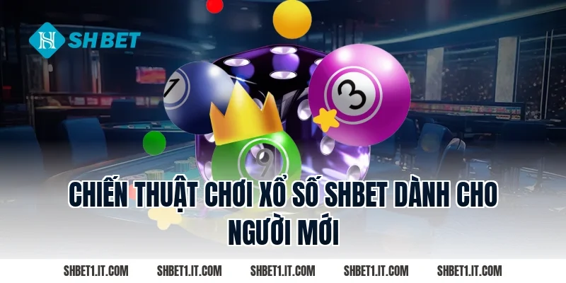 Chiến Thuật Chơi Xổ số SHBET Dành Cho Người Mới