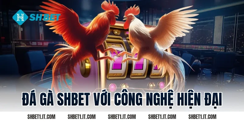 Đá gà SHBET với công nghệ hiện đại