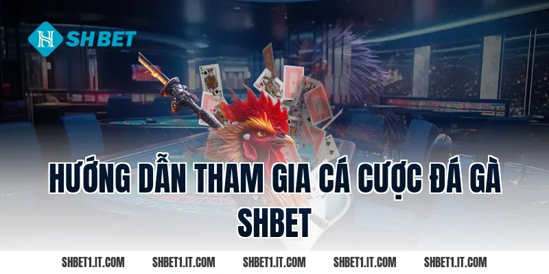 Hướng dẫn tham gia cá cược Đá gà SHBET