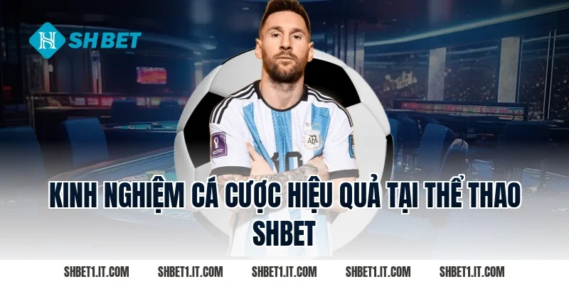 Kinh nghiệm cá cược hiệu quả tại Thể thao SHBET