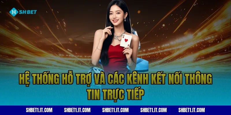 Hệ thống hỗ trợ và các kênh kết nối thông tin trực tiếp